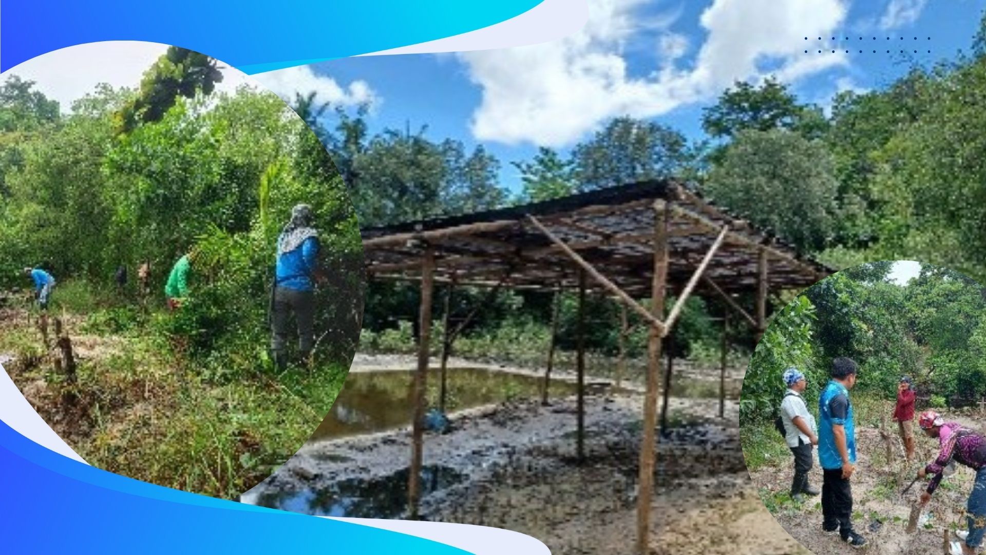 IBMS Mangrove Nursery: Promoting Sustainable Coastal Management and Livelihoods